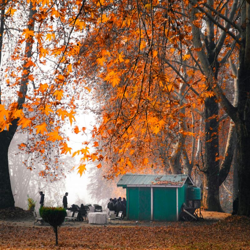 images/insta/Kashmir Tour Package 4 Nights 5 Days 3.jpg
